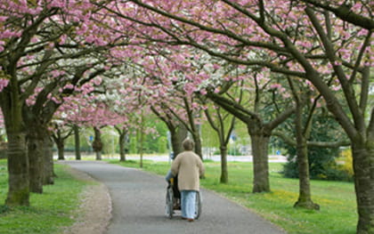 Hospice Care Assistance New Port Richey, FL Caregiver pushing Hospice patient in wheelchair through park